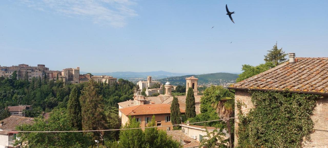 La Tana Di Margherita بيرودجا المظهر الخارجي الصورة